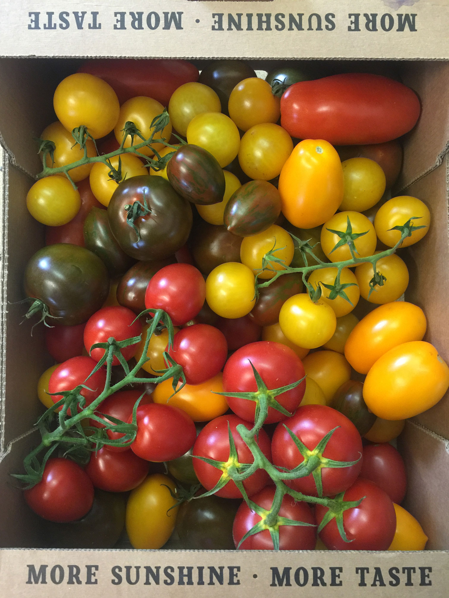 Selection of fresh tomatoes at Beaulieu Farm Shop